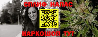 гидра Моздок