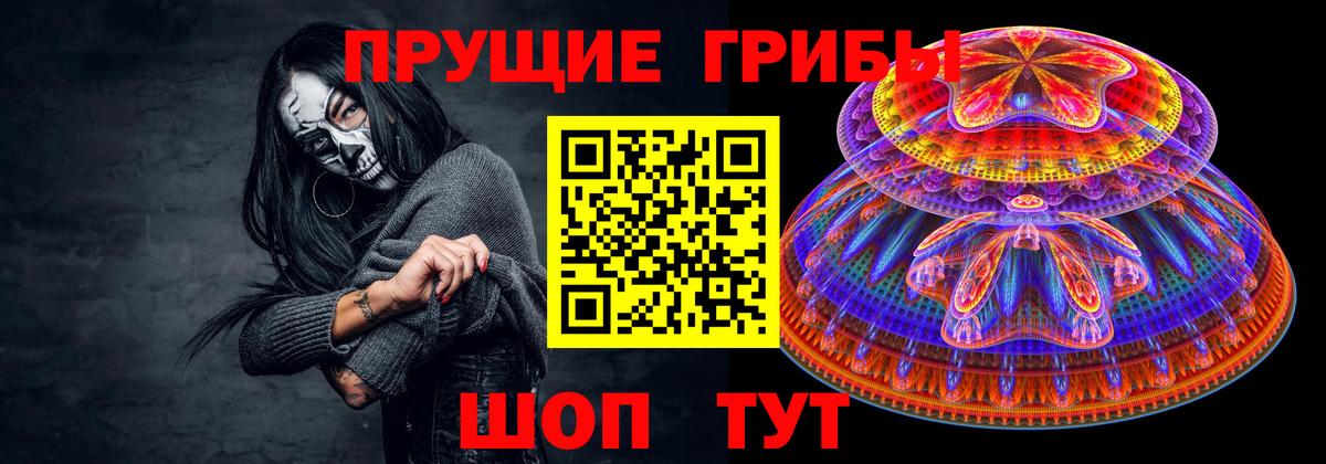 Псилоцибиновые грибы Cubensis  Галлюциногенные грибы GOLDEN TEACHER  Великий Новгород  Вход с VPN 